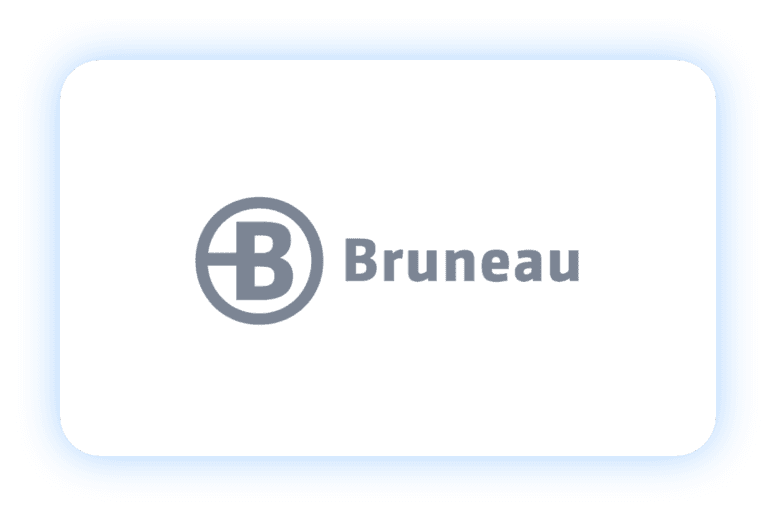 Bruneau